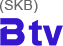 SKB