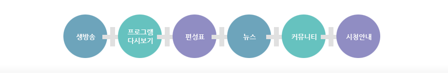 생방송, 프로그램다시보기, 편성표, 뉴스, 커뮤니티, 시청안내