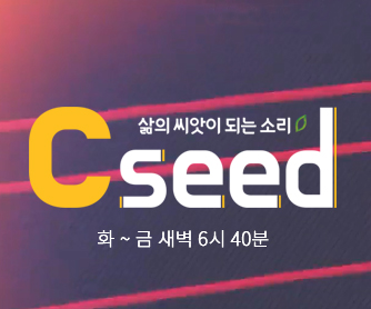 씨드(뉴스광고하단)