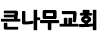 큰나무교회 김홍구
