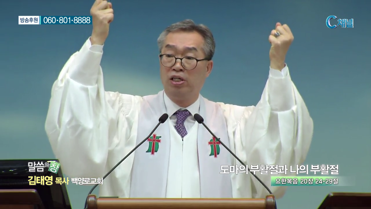 백양로교회 김태영 목사 - 도마의 부활절과 나의 부활절