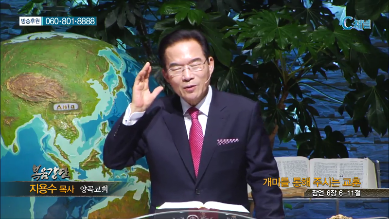 양곡교회 지용수 목사 - 개미를 통해 주시는 교훈