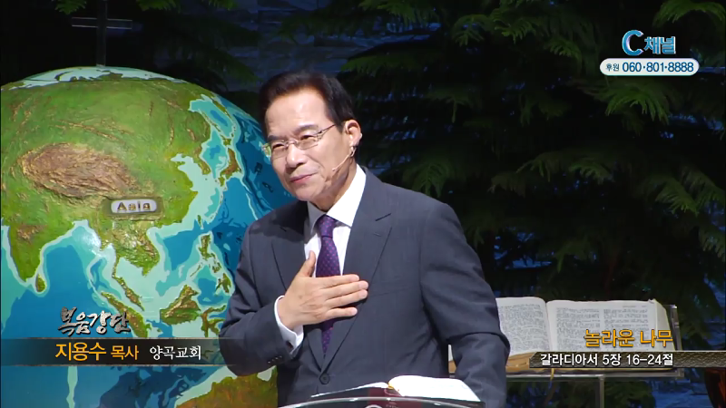 양곡교회 지용수 목사 - 놀라운 나무