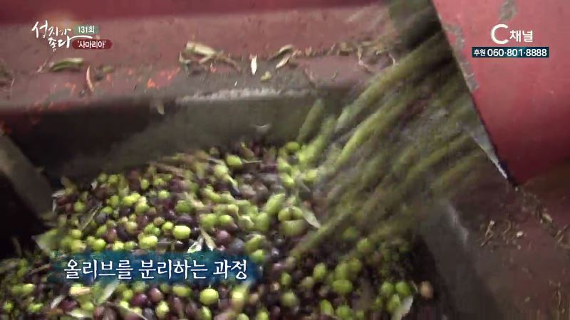 성지가 좋다 131회 사마리아 올리브 기름