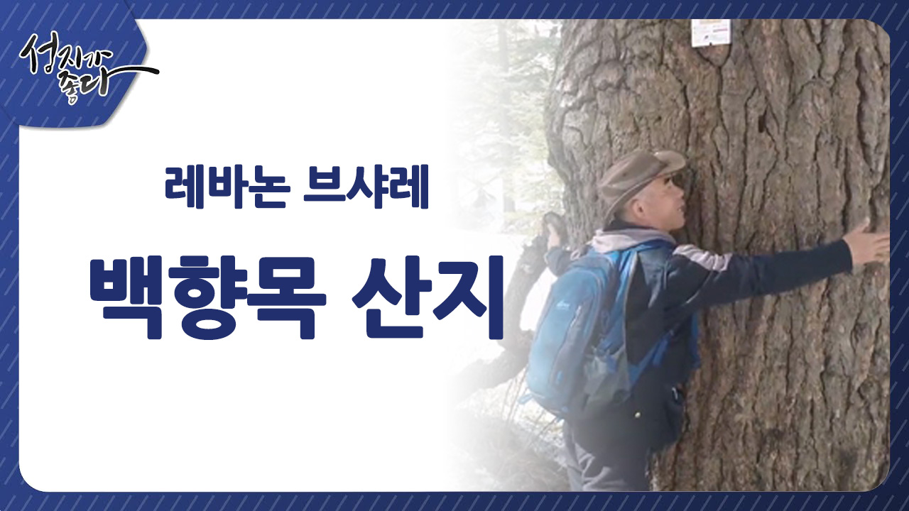 레바논 브샤레 백향목 산지ㅣ이강근 박사 [성지가 좋다] 394회 		