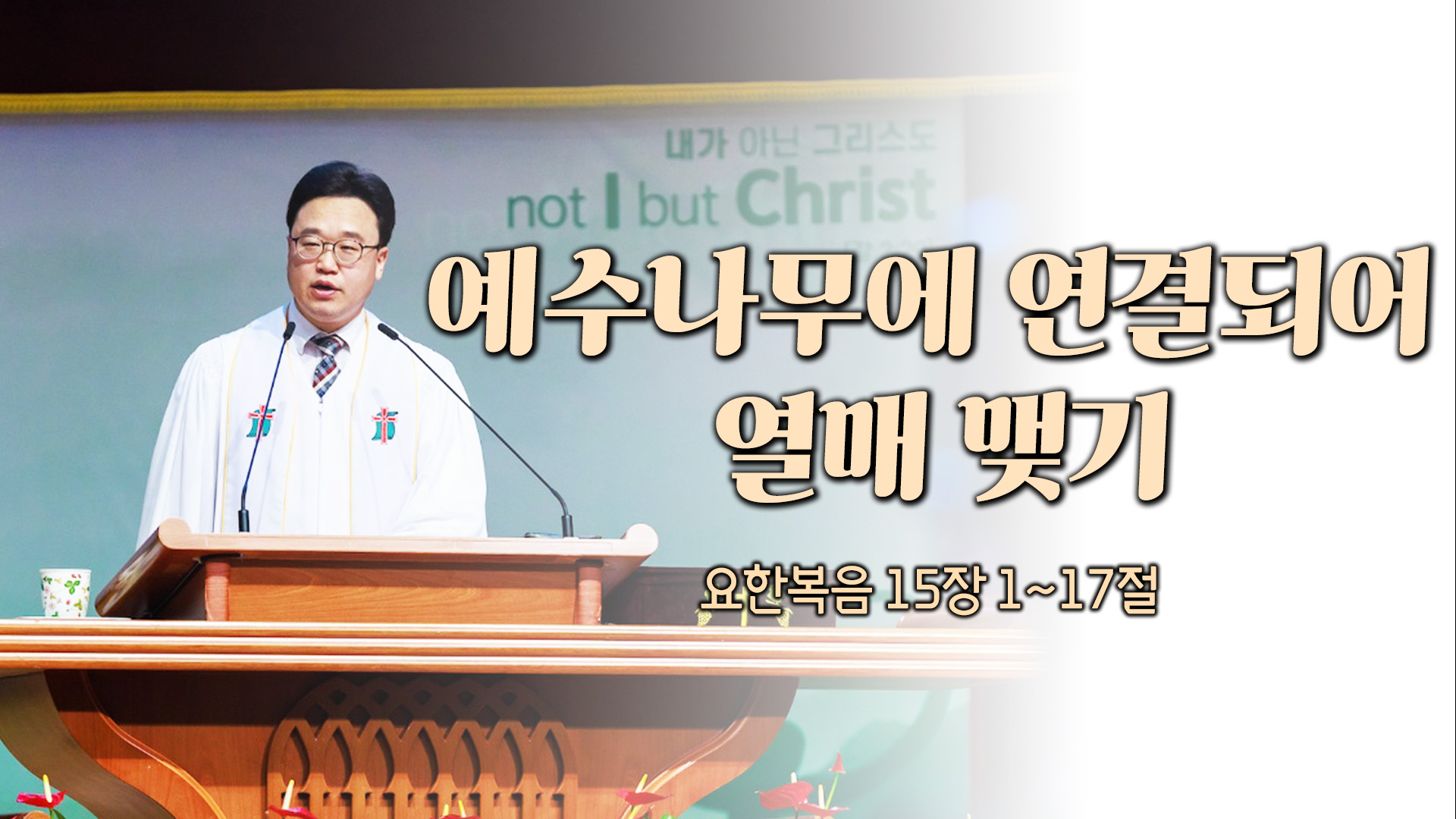 예수나무에 연결되어 열매 맺기┃전주산돌교회 김진영 목사	